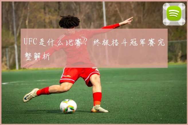 UFC是什么比赛？终极格斗冠军赛完整解析