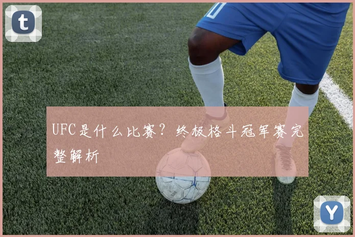 UFC是什么比赛？终极格斗冠军赛完整解析